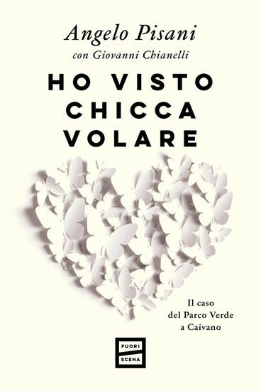 Immagine di HO VISTO CHICCA VOLARE. IL CASO DEL PARCO VERDE A CAIVANO