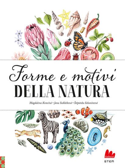 Immagine di FORME E MOTIVI DELLA NATURA. EDIZ. A COLORI