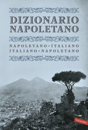 Immagine di DIZIONARIO NAPOLETANO