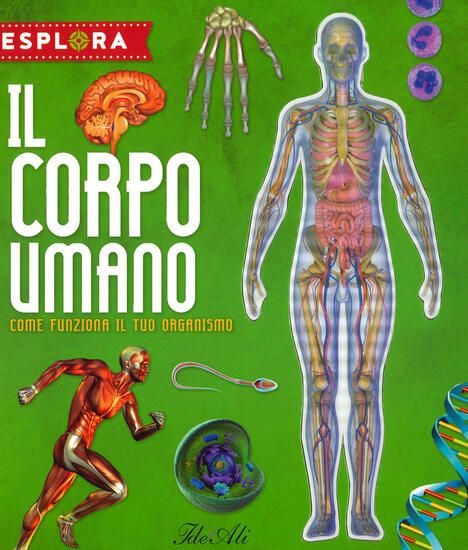 Immagine di CORPO UMANO. COME FUNZIONA IL TUO ORGANISMO. ESPLORA. EDIZ. A SPIRALE. CON ADESIVI. CON POSTER (IL)