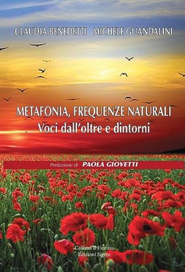 Immagine di METAFONIA, FREQUENZE NATURALI. VOCI DALL’OLTRE E DINTORNI