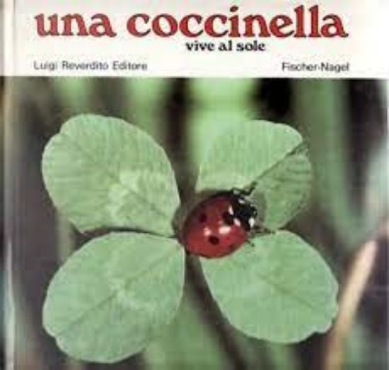 Immagine di UNA COCCINELLA