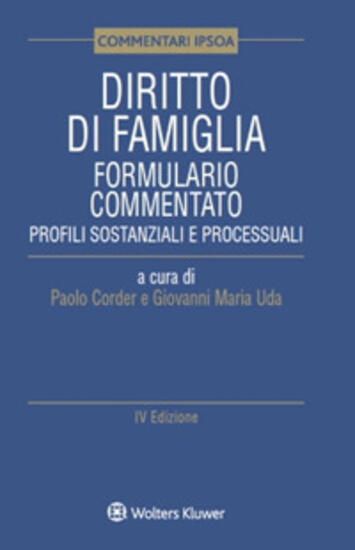 Immagine di DIRITTO DI FAMIGLIA. FORMUALARIO COMMENTATO. PROFILI SOSTANZIALI E PROCESSUALI