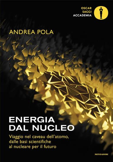 Immagine di ENERGIA DAL NUCLEO. VIAGGIO NEL CAVEAU DELL`ATOMO, DALLE BASI SCIENTIFICHE AL NUCLEARE PER IL FU...