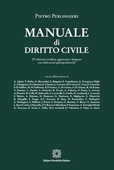 Immagine di MANUALE DI DIRITTO CIVILE