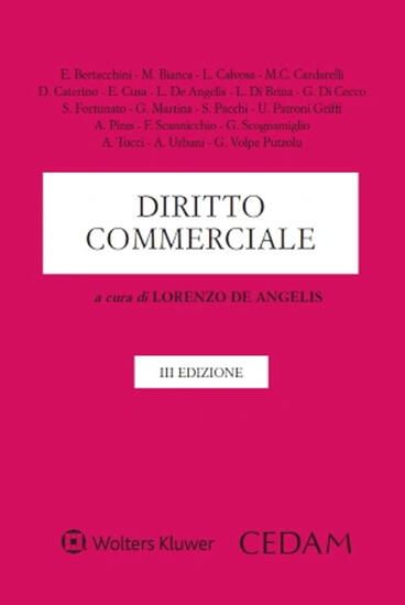 Immagine di DIRITTO COMMERCIALE