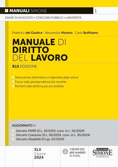 Immagine di MANUALE DI DIRITTO DEL LAVORO 2024