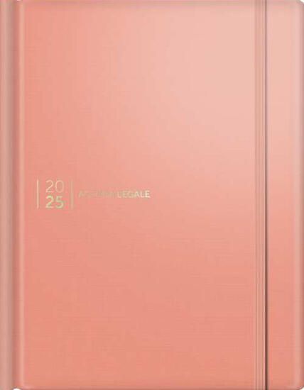 Immagine di AGENDA LEGALE 2025 - SILK PINK - ROSA