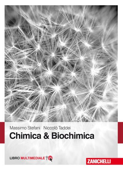 Immagine di CHIMICA & BIOCHIMICA. CON CONTENUTO DIGITALE (FORNITO ELETTRONICAMENTE)