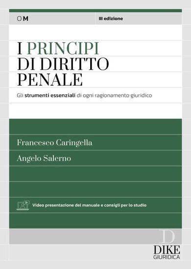 Immagine di I PRINCIPI DEL DIRITTO PENALE. GLI STRUMENTI ESSENZIALI DI OGNI RAGIONAMENTO GIURIDICO.