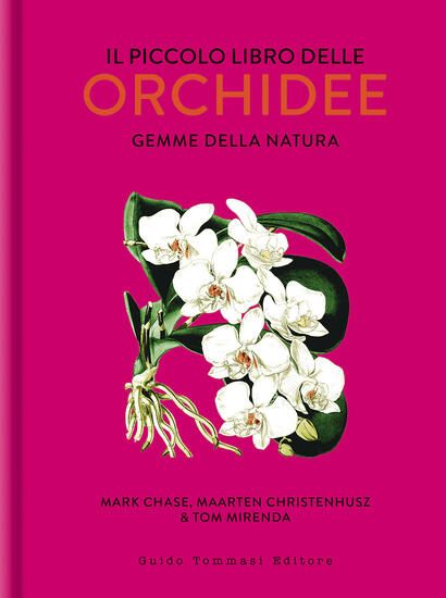 Immagine di PICCOLO LIBRO DELLE ORCHIDEE. GEMME DELLA NATURA (IL)