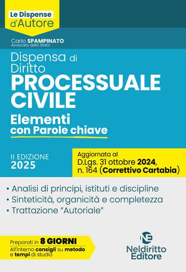 Immagine di DISPENSA DI PROCEDURA CIVILE. AGGIORNATA AL DECRETO CORRETTIVO CARTABIA D.LGS. 31 OTTOBRE 2024