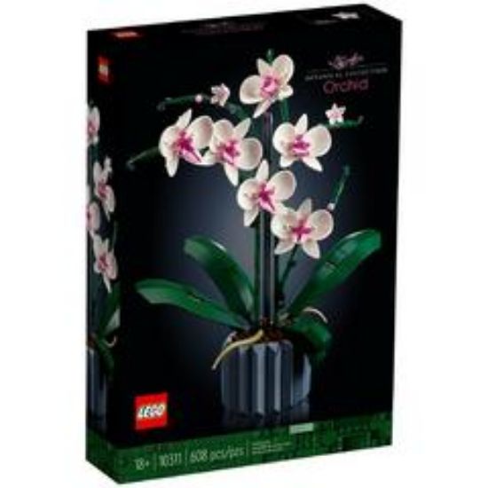 Immagine di ICONS BOTANICAL COLLECTION ORCHIDEA 10311