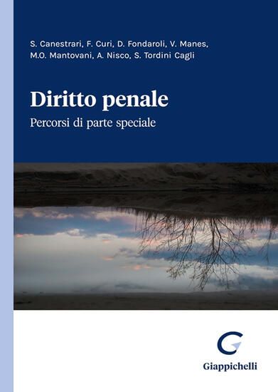 Immagine di DIRITTO PENALE. PERCORSI DI PARTE SPECIALE