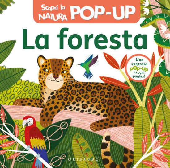 Immagine di FORESTA. SCOPRI LA NATURA POP-UP. EDIZ. A COLORI (LA)